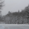 雪深い温泉へ