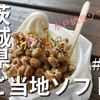 茨城県ご当地ソフト#2！東海PA下り「水戸納豆ソフトクリーム」♡