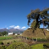 ジャングルモックを履いて中山道歩き旅　９日目