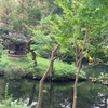 深大寺
