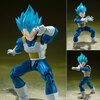 【ドラゴンボール超】S.H.フィギュアーツ『スーパーサイヤ人ゴッドスーパーサイヤ人ベジータ 貫き通すサイヤ人の誇り』可動フィギュア【バンダイ】より2025年4月再販予定♪