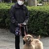 4月22日は地球の日(アースデイ)　新型コロナで地球環境は？