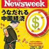 Newsweek (ニューズウィーク日本版) 2022年11月29日号　うなだれる中国経済／ポスト・トランプは不安だらけ／信用危機はレゴランドから