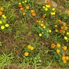 足の指の骨折を振り返る　その15