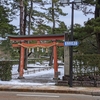 今年はいい年になりそうな予感〜金沢神社にて〜