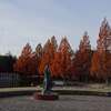 朝の七北田公園（2023.11.23）