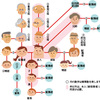 会社は株式にする？合同にする？？