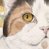 【イラスト】猫のイラストを投稿する専用アカウント設置！