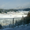 雪は溶け始めたようです。