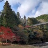 <大垣市>🍁空中に浮かぶ一本橋! 多良峡森林公園