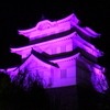謎の紫城