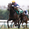 競馬初心者必見☆馬券予想🔥〜キーンランドC〜短距離女王にも死角あり！？