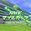 【競馬】第28回 NHKマイルカップ 予想