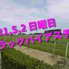 2021,5,2 日曜日 トラックバイアス予想 (東京競馬場、阪神競馬場、新潟競馬場)