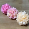 100均で手に入る！カラフルなお花紙の使い方