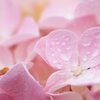 「成功とは、失敗から失敗へ進む中で情熱を失わないことだ。」
