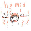 Humid