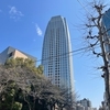 旧友と贅沢ランチ&愛宕神社