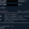 AWS CloudShellでAmazon Q CLIを活用する