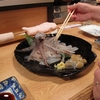 函館でイカを食す！　北海道に行ってみたーその６