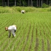 田舎VS脅威の世界