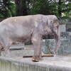 いろいろな動物園や水族館のいきものたち