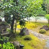 【京都】妙心寺塔頭、『東林院』に行ってきました。