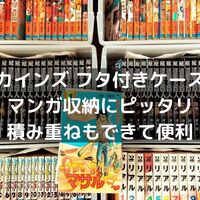 レビュー カインズ 収納キャリ 押入れやクローゼット ベッド下のデッドスペースにおすすめの台車です ガリナリブログ レビュー カインズ 収納キャリ 押入れやクローゼット ベッド下のデッドスペースにおすすめの台車です ガリナリブログ