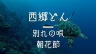 泣ける…西郷どん 別れの民謡『朝花節』とは？〔奄美大島〕