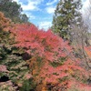 久々に生駒山「の麓」を散策してきました