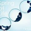 Spring Of Life - Perfume