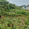 耕作放棄地の開拓をある程度 終えて