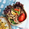 #513 牛肉とカラフル野菜のオイスターソース炒め弁当