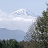 （4/25月）富士と桜