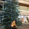 昭島モリタウンクリスマス！！サーティーワン＆くら寿司さん☆*:.｡. o(≧▽≦)o .｡.:*☆