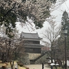 Exploring the Tranquil Beauty of Uedajo Castle and its Sakura Splendor (Nagano, Japan)