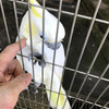 多摩川