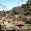 大倉山梅林へ