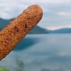 田沢湖で味噌たんぽ！湖畔のバス旅で玉川温泉へ【玉川温泉ひとり旅①】