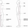 姿勢についての基本を通訳