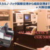 ジャカルタからの帰国便の日本航空JL720便で成田までと大阪往復
