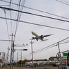 頭上を通過する航空機