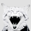 元・婚活支援員による婚活・恋愛生現場(毒)