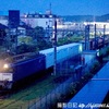 1095レ 鹿島貨物(EF64-1022)