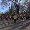 春爛漫のCentral Parkで Women's Half Marathon☆こちらも満開です！