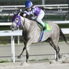 この条件（1400ｍ牝馬限定）なら負けられない！羚騎手も今日の鬱憤を晴らす好騎乗もあり通算３勝目！ マジョリカもタイムオーバー回避（26/9/4名古屋観戦記：後編）