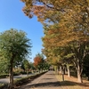 &#9836;11月