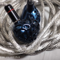 れいんのレビュー：『 TRN Whale Shark 』  trnの大型海産物シリーズは、迫力満載のサウンド！ (By れいん)  #PR TRN