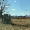 富士山が見えた！初夢はヘビが見たかったな