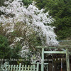 大豊神社